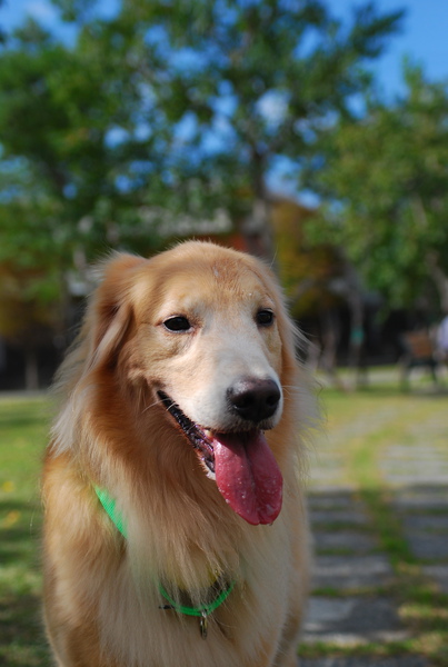 DSC_0171.JPG