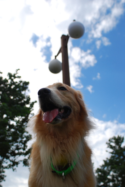 DSC_0202.JPG