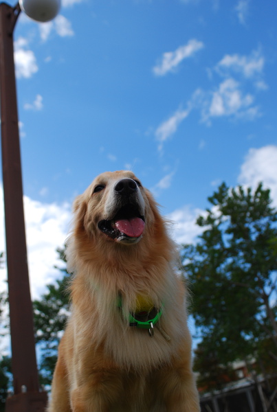 DSC_0201.JPG