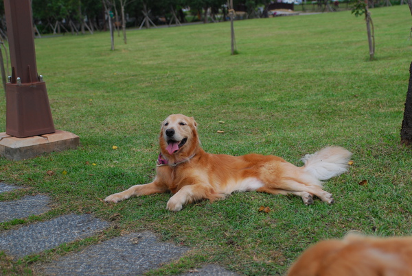 DSC_0210.JPG