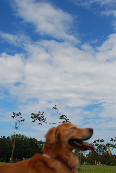 DSC_0192.JPG