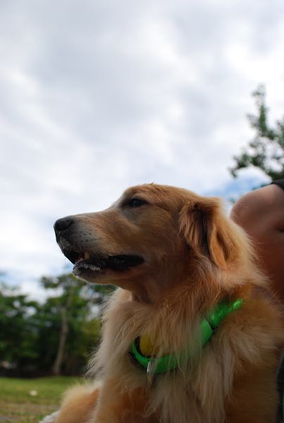 DSC_0182.JPG