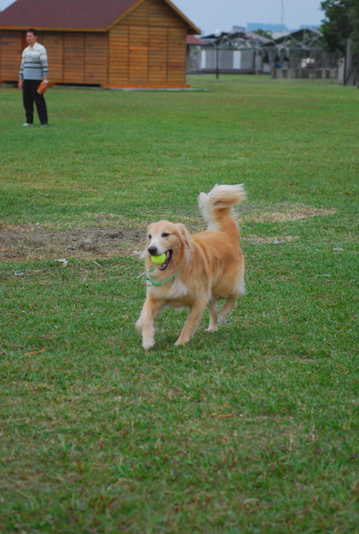 DSC_0013.JPG