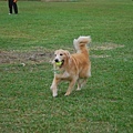 DSC_0013.JPG