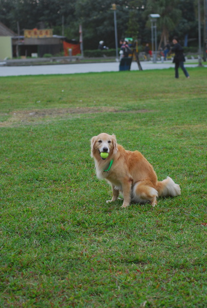 DSC_0016.JPG
