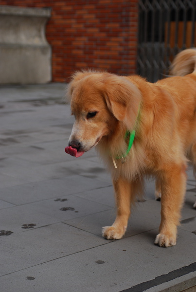 DSC_0358.JPG