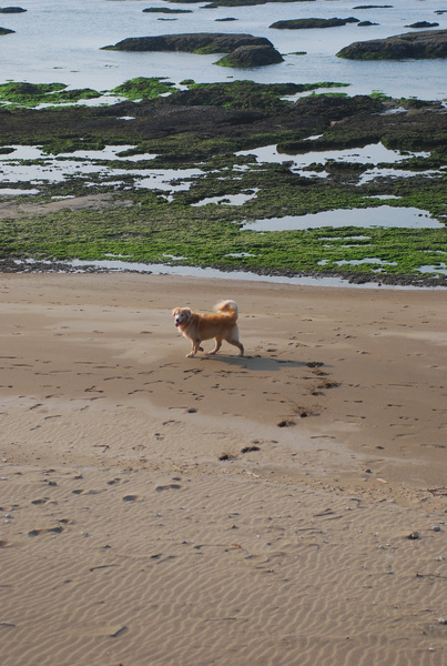 DSC_0026.JPG