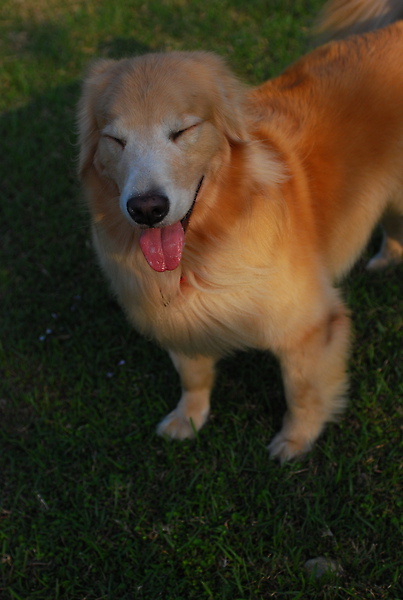 DSC_0002.JPG