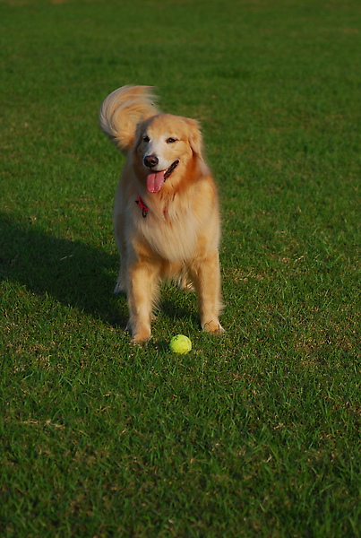 DSC_0011.JPG