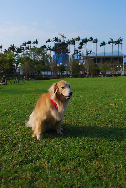 DSC_0007.JPG