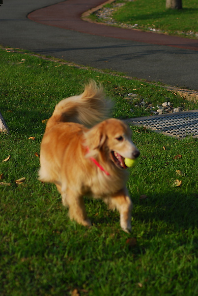 DSC_0021.JPG