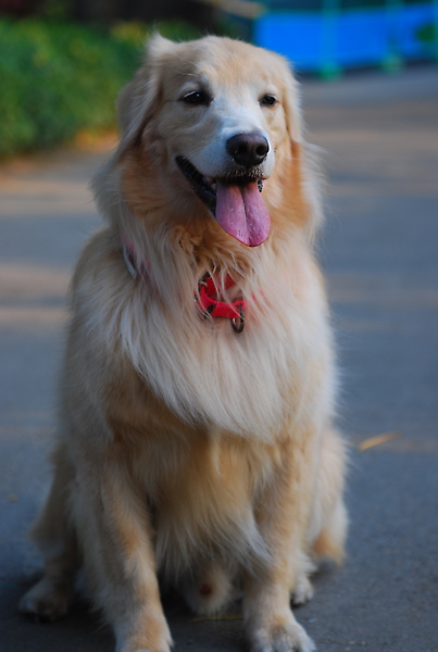 DSC_0134.JPG