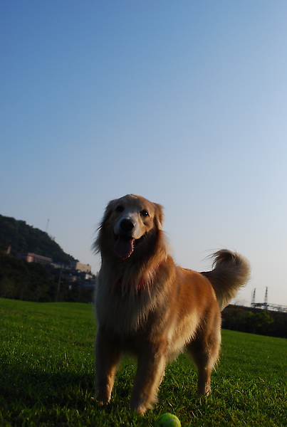 DSC_0060.JPG