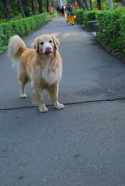 DSC_0147.JPG