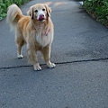 DSC_0147.JPG