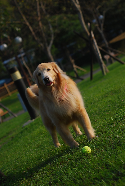 DSC_0046.JPG