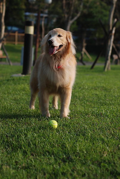 DSC_0043.JPG