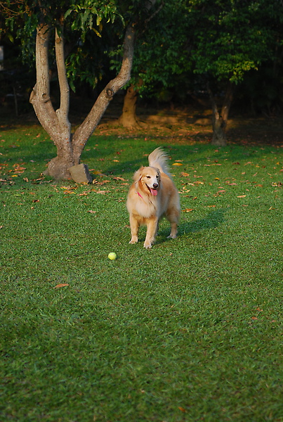 DSC_0109.JPG