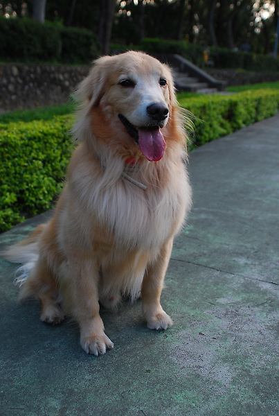 DSC_0108.JPG
