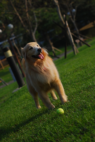 DSC_0047.JPG