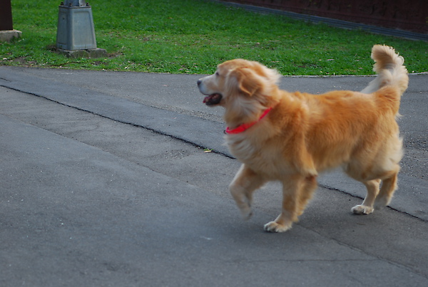 DSC_0085.JPG