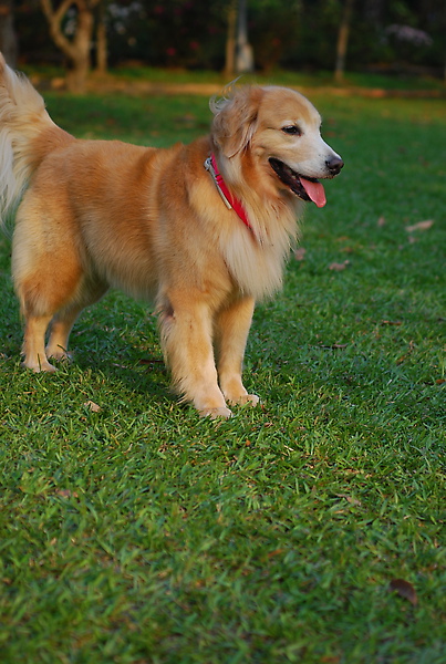 DSC_0119.JPG