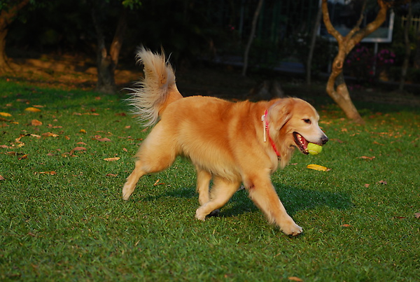 DSC_0118.JPG