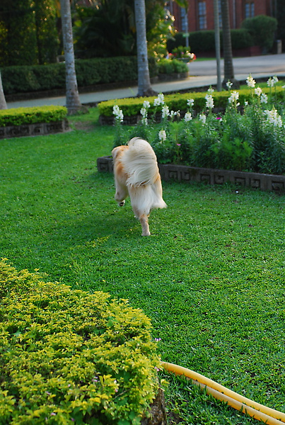 DSC_0078.JPG