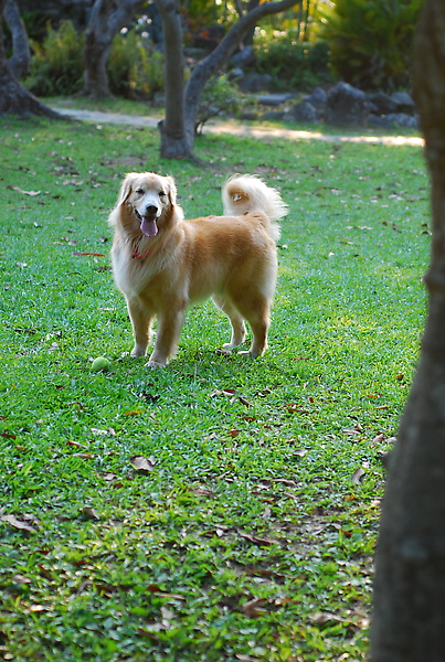 DSC_0125.JPG
