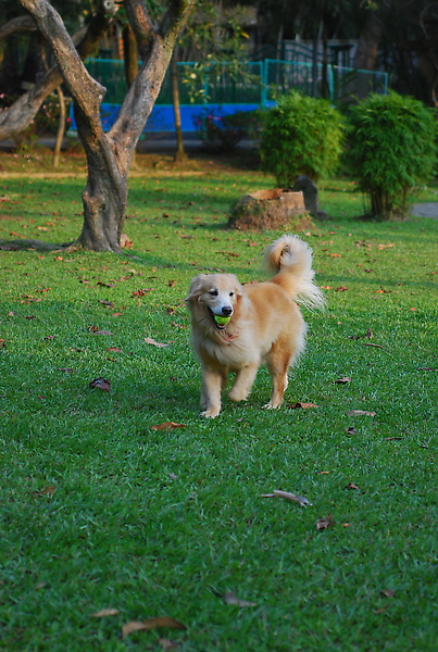 DSC_0120.JPG