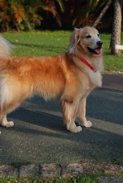 DSC_0031.JPG