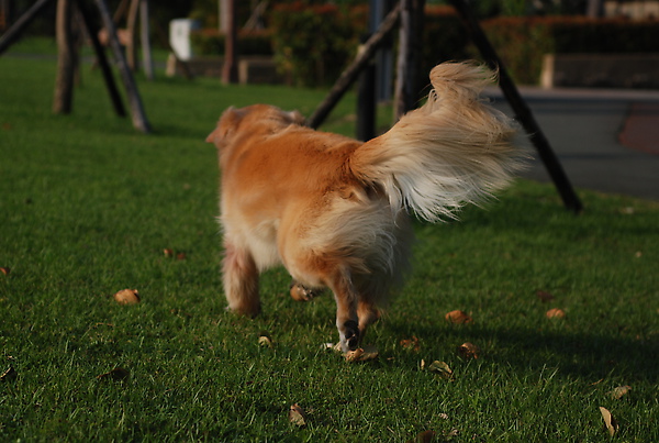 DSC_0037.JPG