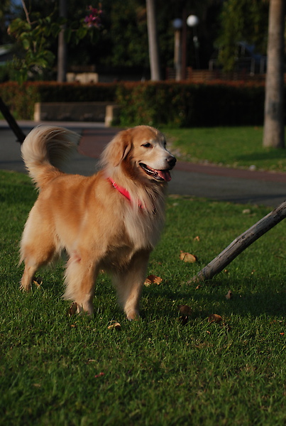 DSC_0035.JPG