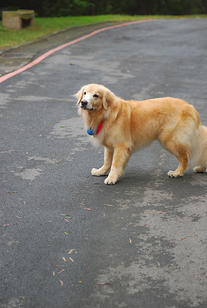 DSC_0140.JPG