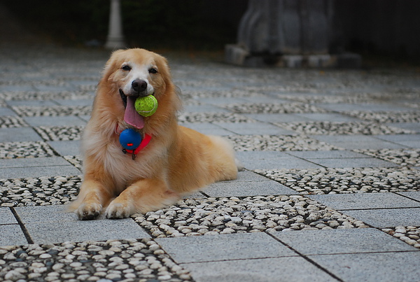 DSC_0179.JPG