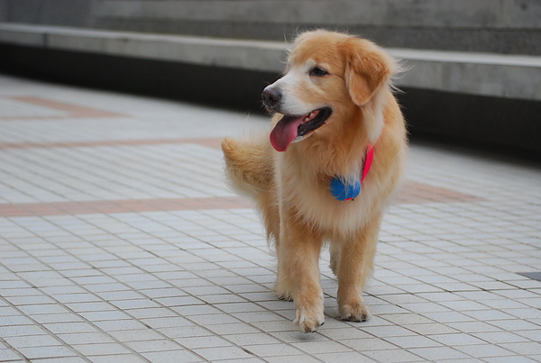 DSC_0169.JPG