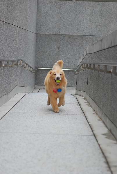 DSC_0153.JPG