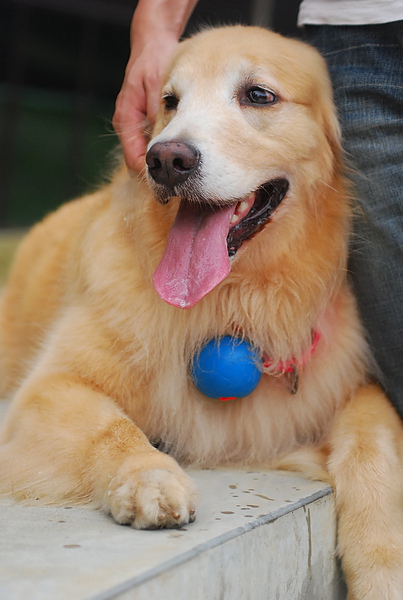 DSC_0164.JPG