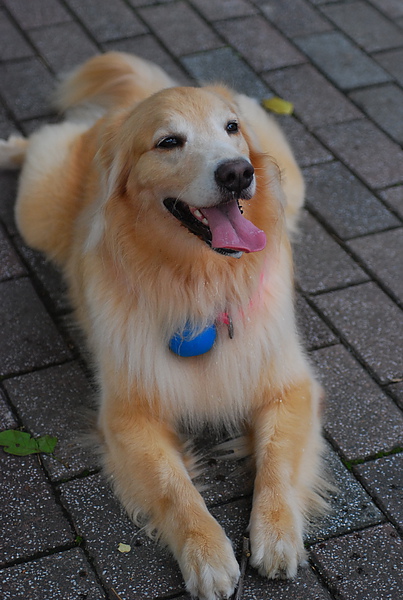 DSC_0204.JPG