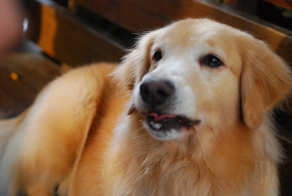 DSC_0214.JPG