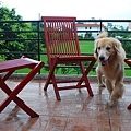 DSC_0013.JPG