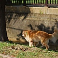 DSC_0058.JPG