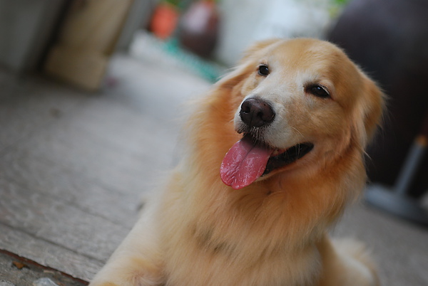 DSC_0413.JPG