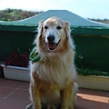 DSC_0105.JPG