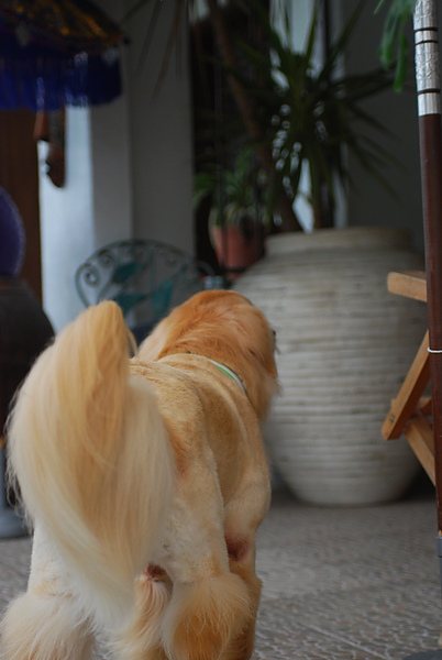 DSC_0415.JPG