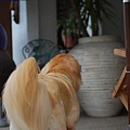 DSC_0415.JPG