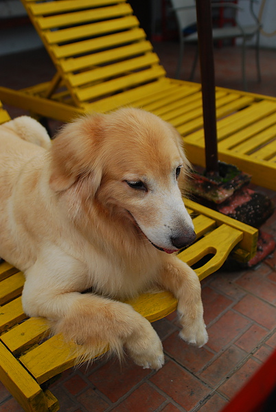 DSC_0377.JPG