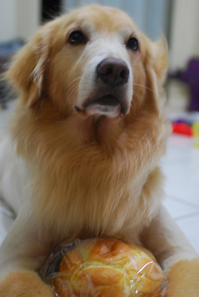 DSC_0004.JPG