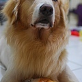 DSC_0004.JPG