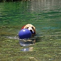 DSC_0135.JPG